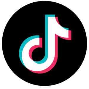 Bookish Mystery Bundle TikTok Video