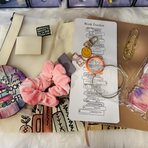 15 Pick Bookish Mystery Bundle