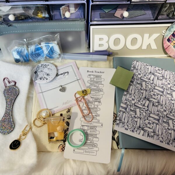20 Pick Bookish Mystery Bundle